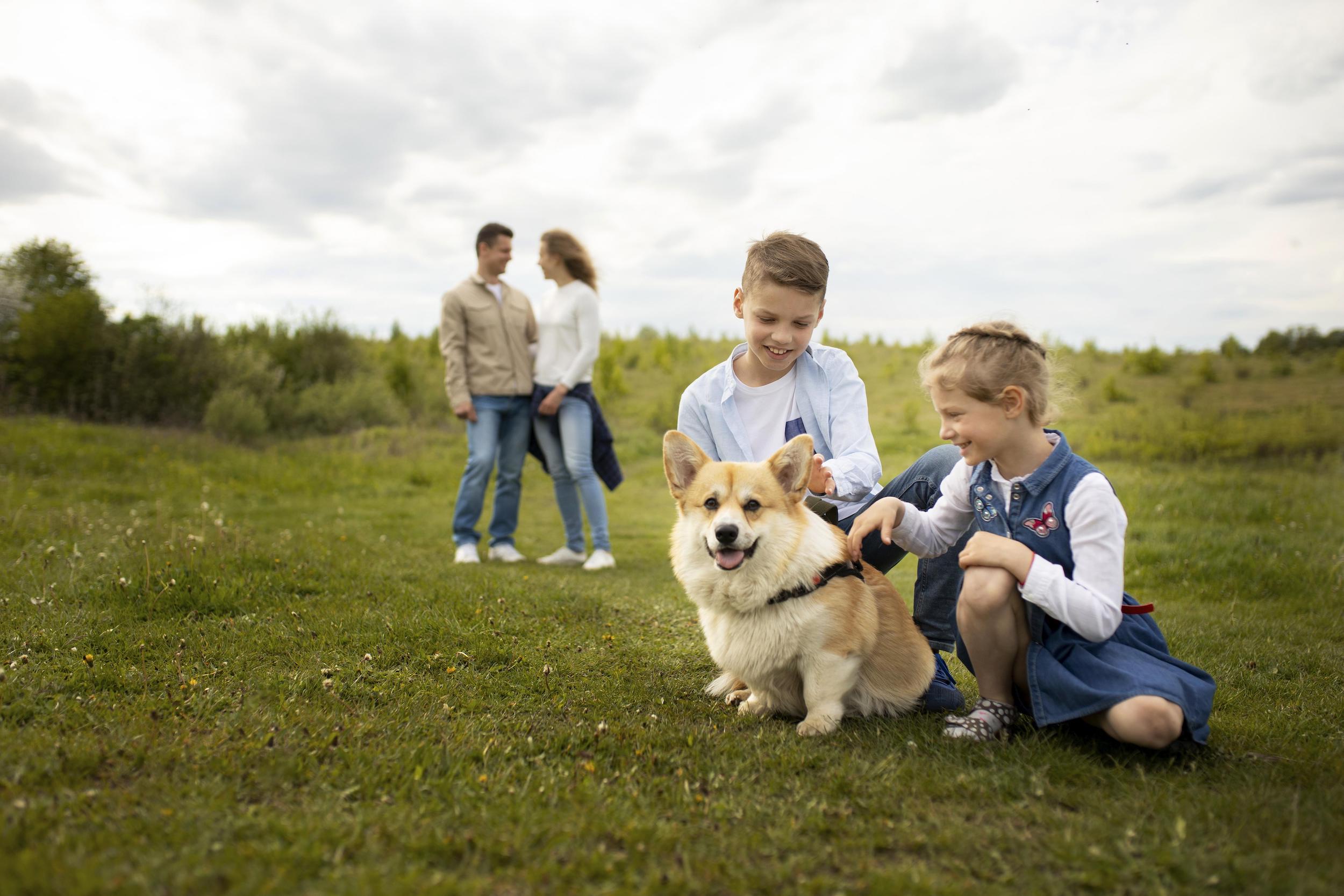 full-shot-family-playing-with-dog-outdoors